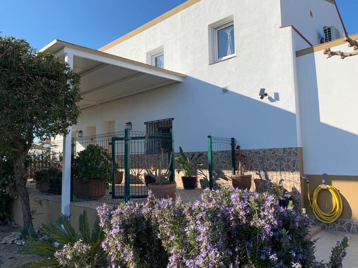 Casa Enric , Con Zona Infantil, Piscina Y Parking Privado Guest House Deltebre Eksteriør bilde