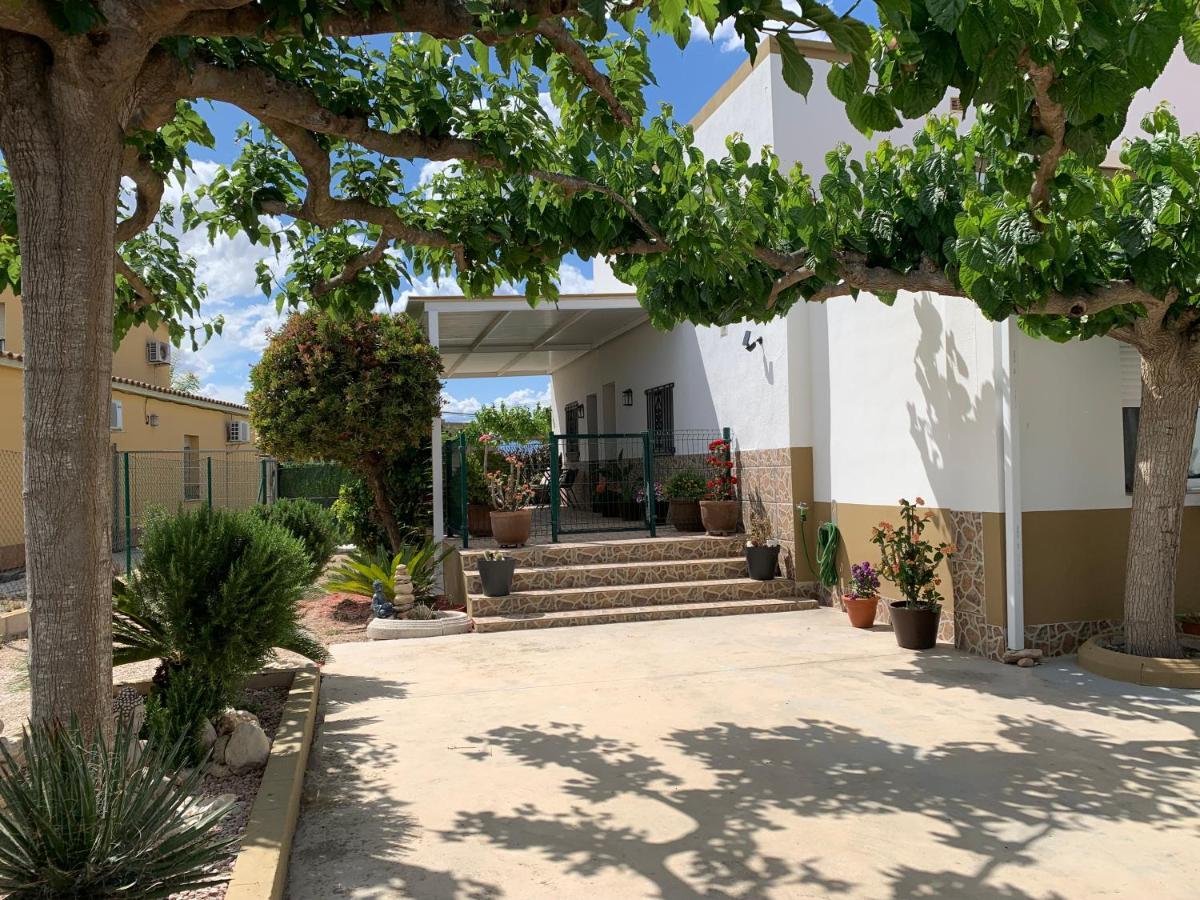 Casa Enric , Con Zona Infantil, Piscina Y Parking Privado Guest House Deltebre Eksteriør bilde