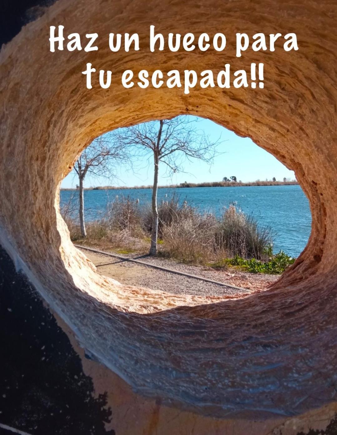 Casa Enric , Con Zona Infantil, Piscina Y Parking Privado Guest House Deltebre Eksteriør bilde