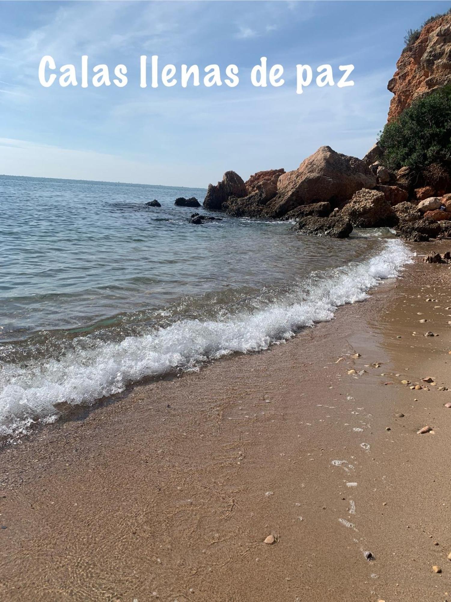 Casa Enric , Con Zona Infantil, Piscina Y Parking Privado Guest House Deltebre Eksteriør bilde